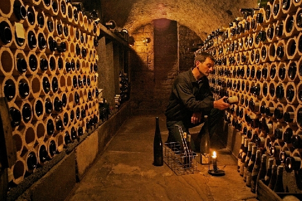 Das Foto zeigt Peter Linxweiler von Weingut Hahnmühle.