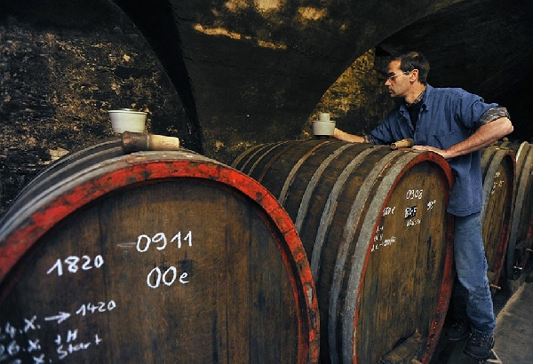 Das Foto zeigt Dr. Randolf Kauer im Weinkeller des Weinguts in Bacharach.