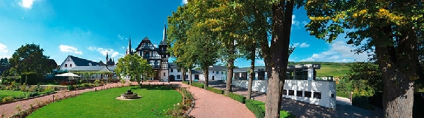 Das Foto zeigt den Garten von Weingut Robert Weil in Kiedrich, Rheingau.
