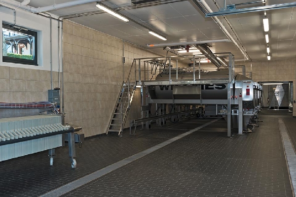 Das Foto zeigt die Kelterhalle auf Weingut Robert Weil in Kiedrich, Rheingau.