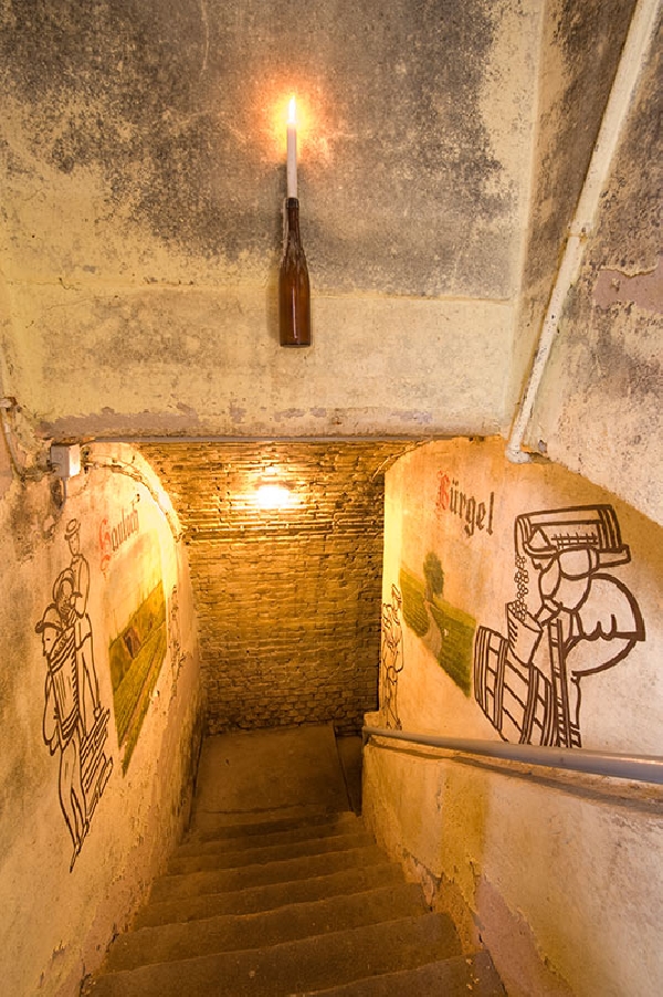 Das Foto zeigt die Treppe, die in den Weinkeller von Weingut Schales führt.