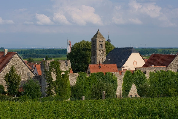 Das Foto zeigt Dalsheim und seine Fleckenmauer.
