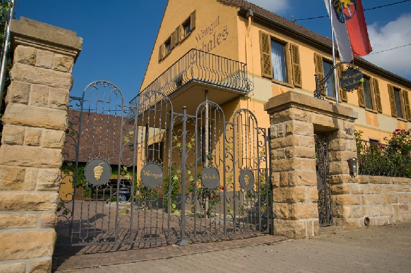 Das Foto zeigt das Haus des Weinguts Schales in Flörsheim-Dalsheim von außen.