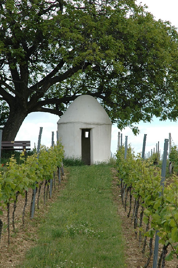 Das Foto zeigt eine kleine Hütte inmitten der Weinberge.