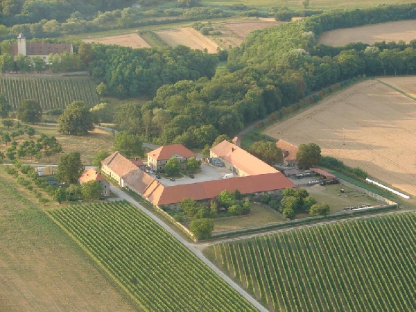 Das Foto zeigt eine Luftaufnahme des Weinguts Graf von Schönborn - Schloss Hallburg in Franken.