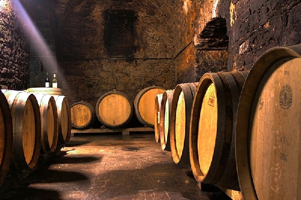 Das Foto zeigt Barriquefässer im Keller des Weinguts des Grafen zu Neipperg.