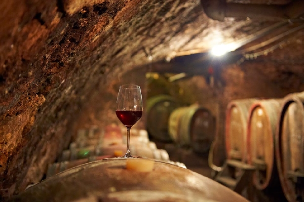 20130827 d4 4321 web