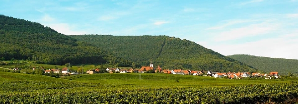 Das Foto zeigt den Weinort Weyher in der Pfalz.
