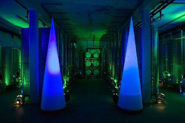 Das Foto zeigt den Keller des Weinguts Klumpp.