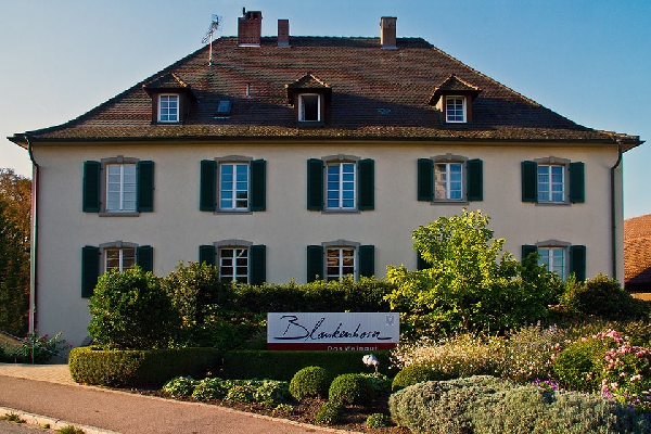 Das Foto zeigt das Gutshaus von Weingut Blankenhorn im badischen Schliengen.