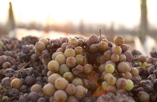 20080117 05 02 016 a4 web