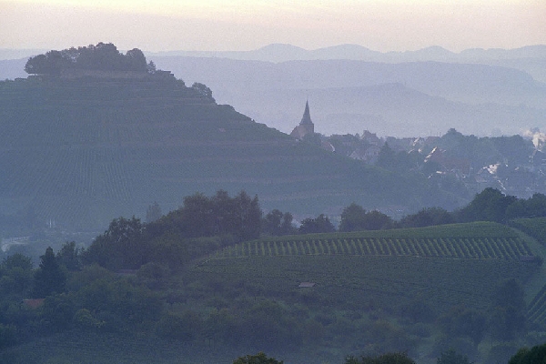 20080121 01 13 045 a4 web