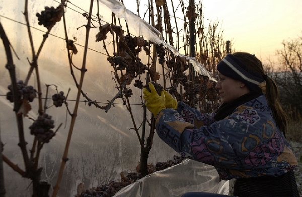 20080117 05 02 013 a4 web