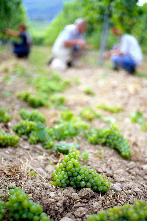 20071115 05 03 001 a4 web