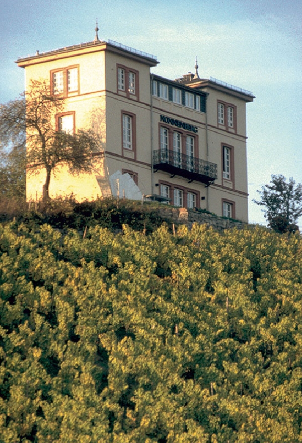 Das Foto zeigt die Weinbergslage Rauenthaler Nonnenberg, die von dem Rüdesheimer Weingut Georg Breuer Parzellen bewirtschaftet wird.