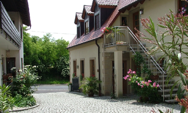 Das Foto zeigt das Weingut Brügel in Greuth, Franken.