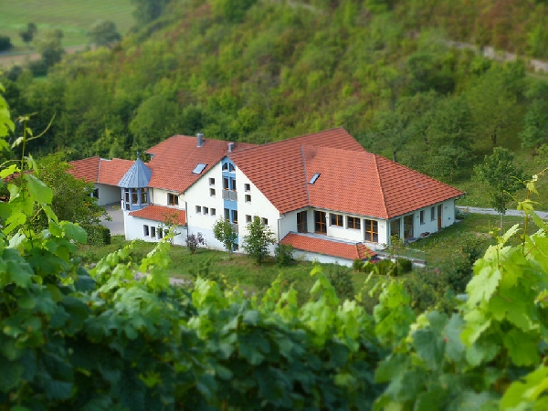 Das Foto zeigt das Gutshaus von Weingut May in Retzstadt, Franken.