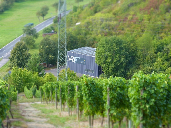Das Foto zeigt das Weingut Rudolf May in Franken.
