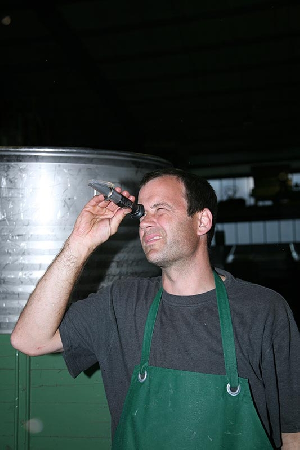 Das Foto zeigt Dieter Hoffmann, Inhaber von Weingut Hoffman-Simon in Piesport.