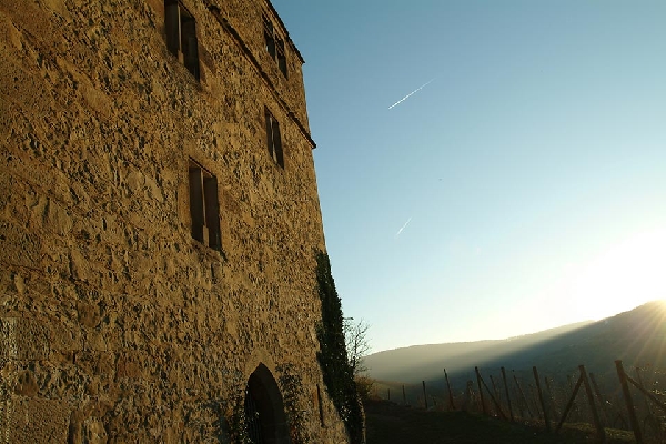 Das Foto zeigt die Y-Burg in Stetten.
