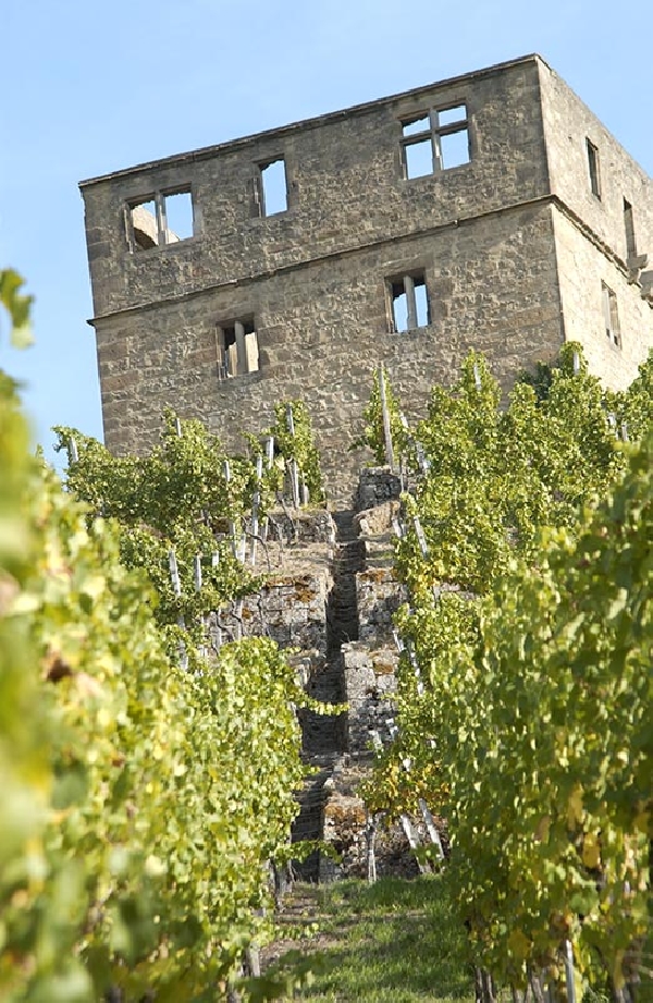 Das Foto zeigt die Y-Burg in der Lage Stettener Pulvermächer.