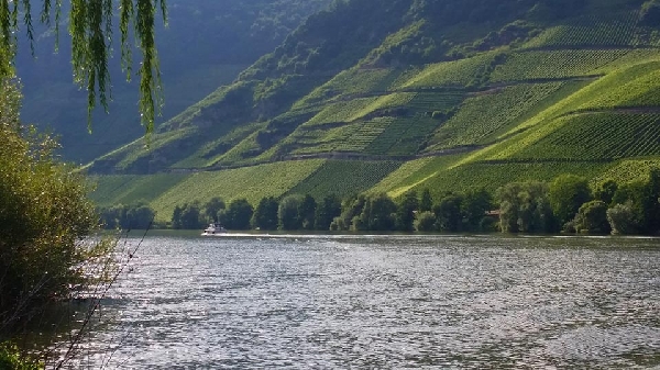 Hoffmann-Simon 2015-1