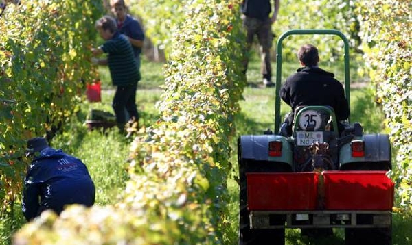 csm lese c rudolffuerst 9e32ee87ab