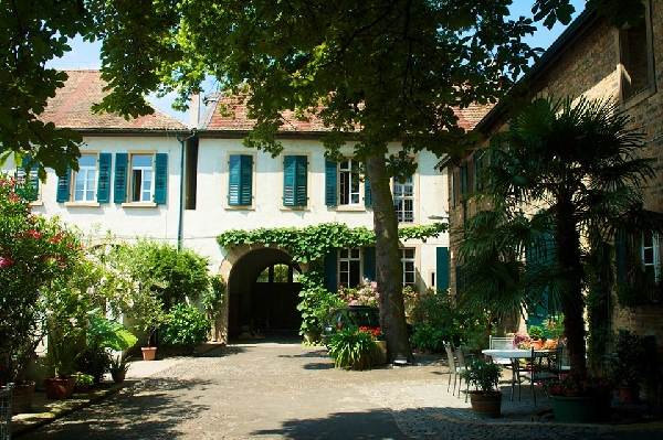 Das Foto zeigt den Innenhof mit einen von zwei Lindenbäumen die über 100 Jahre alt sind.
