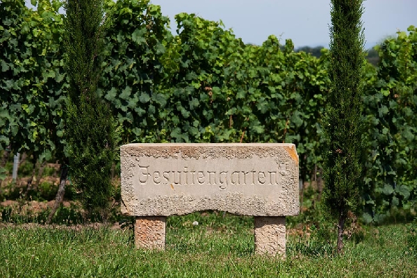 Das Bild zeit einen Stein mit der Aufschrift Jesuitengarten.
