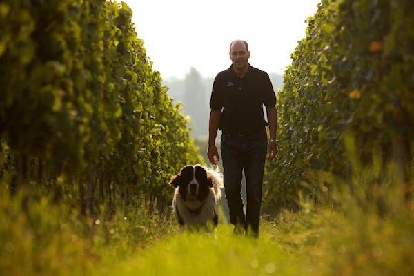 Das Bild zeigt Timo Spindler in seinem Weinbaugebiet.