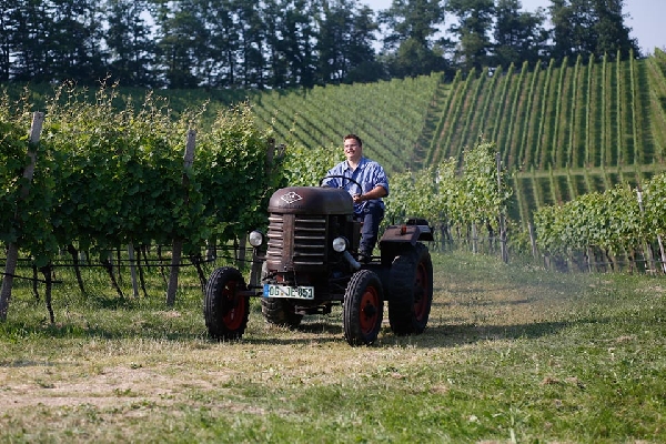 Das Bild zeigt Thomas Männle auf einem Traktor in der Weinberglage Bienengarten in Durbach.