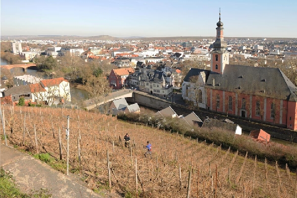 Das Foto zeigt Die Weinlage Kauzenberg am Kurpark Bad Kreuznach.