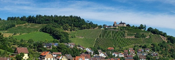 Das Foti zeigt deb Gernsbacher Schlossberg sowie das Weingut Schloss Eberstein. 