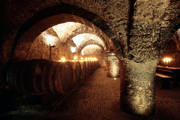 Das Foto zeigt den historischen Weinkeller des Weingutes Vereinigte Hospitien.