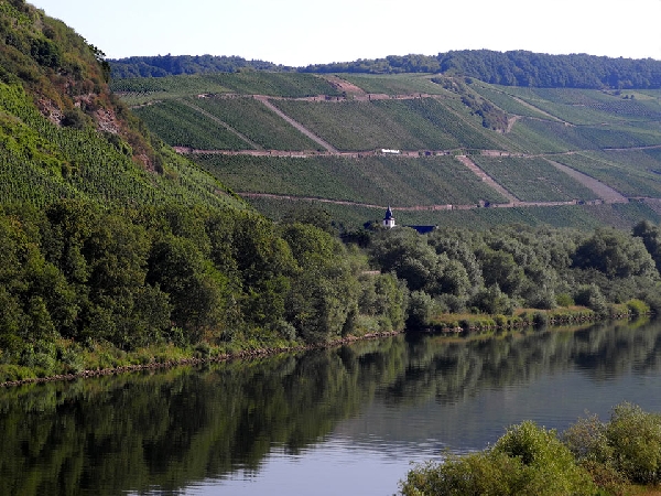 Die im Moseltal gelegene Lage Klüsserather Bruderschaft erhielt ihren Namen von einer Bruderschaft aus dem Mittelalter. Diese wurde 1681 vom  Pastor und Dechant Johann Gerhard von Manderscheid gegründet und stiftete ihr neun Weinberge.
