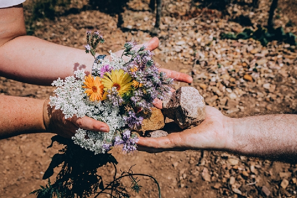 2018-07-14 weingutriffel 03-weinberg-weinflaschen by6ix full-4406