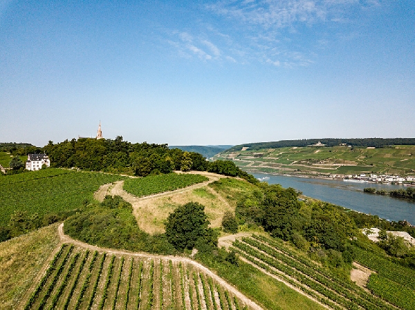 2018-07-14 weingutriffel 01-aerialshots by6ix-0059