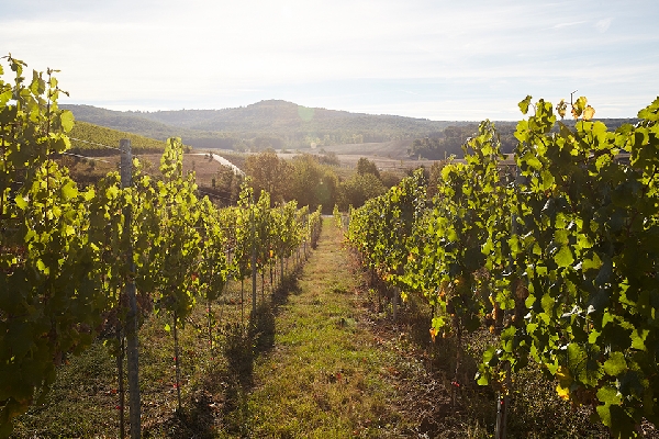 schloss-frankenberg-jg-041