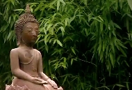 Rundgang durch den Garten von Weingut Wittmann.