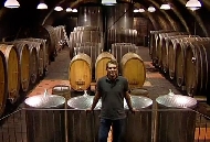 Der Gewölbekeller von Weingut Wittmann.