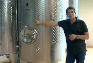 Das Innere des Kelterhauses von Weingut Wittmann.
