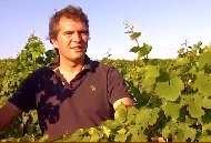 Die Lage Westhofener Aulerde von Weingut Wittmann.