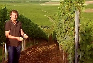 Die Lage Westhofener Kirchspiel von Weingut Wittmann.