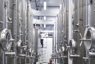 Das Foto zeigt Stahlfässer im Keller von Weingut Robert Weil.