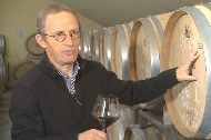 Das Video zeigt Hans Haidle, Inhaber von Weingut Karl Haidle in Kernen-Stetten.